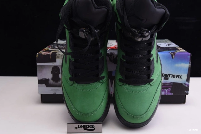Rep MAX CK6631-307 SE Jordan Ducks 5 Air Oregon 0712